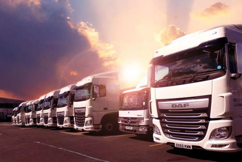 網(wǎng)絡(luò)貨運(yùn)平臺(tái)如何高效整合車(chē)貨資源